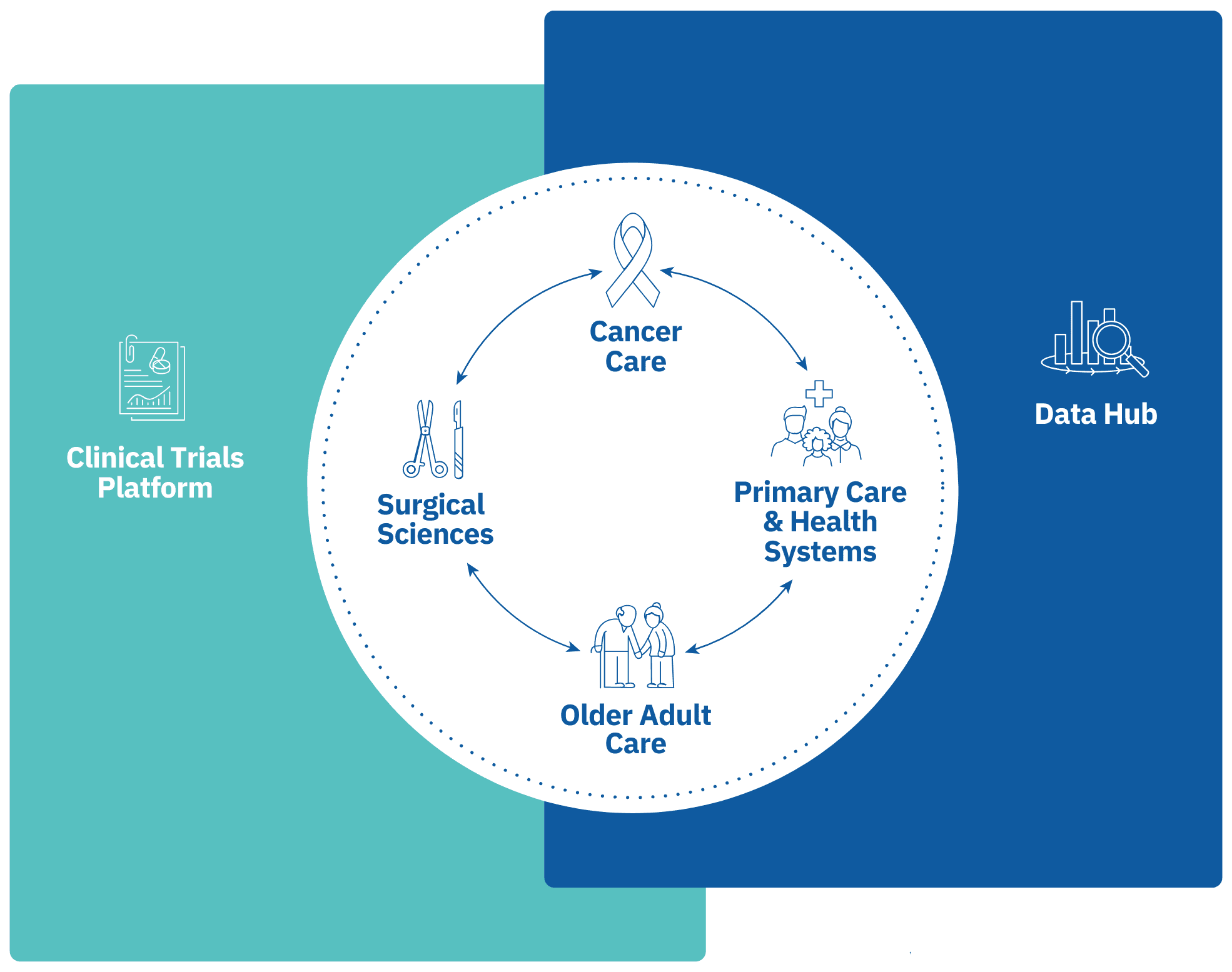 The Centre's four research domains — cancer care, primary care and health systems, older adult care, surgical sciences — connected to one another and supported by the clinical trials platform and the data hub.